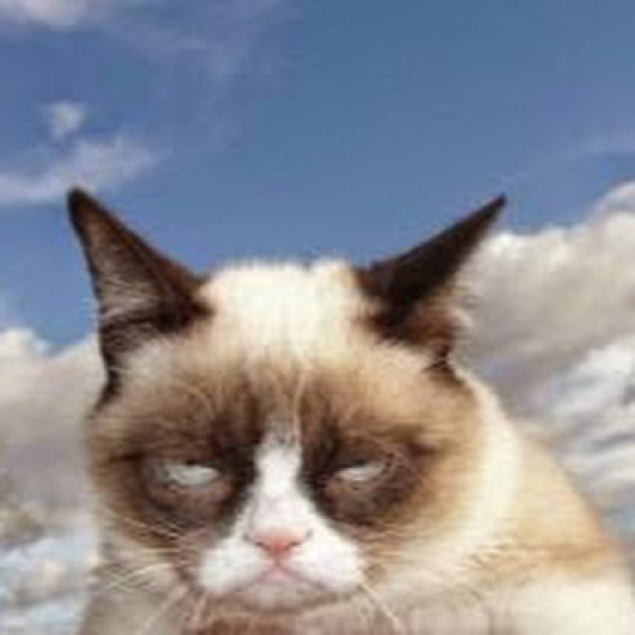 Анаграммы с прилагательными. Угрюмый человек. Угрюмый определение. Угрюмый определение. Грэмми кэт.