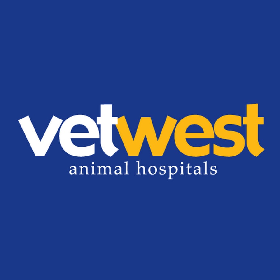 Vetwest Animal Hospitals YouTube