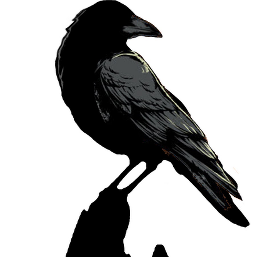 Силуэт ворона. Ворон силуэт. Силуэт вороны. Ворона вектор