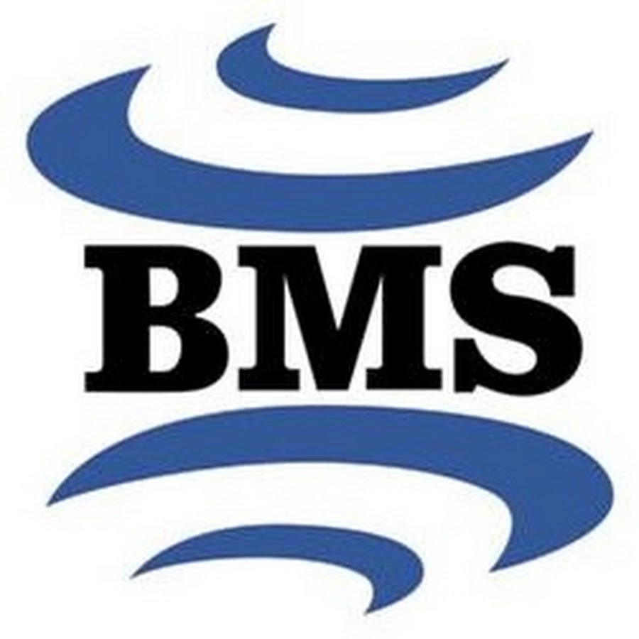 Bms системы диспетчеризации. Unicorn bms логотип. Бмс 4s 120a lifepo4. Уаз бмс. Bms автоматизация зданий.