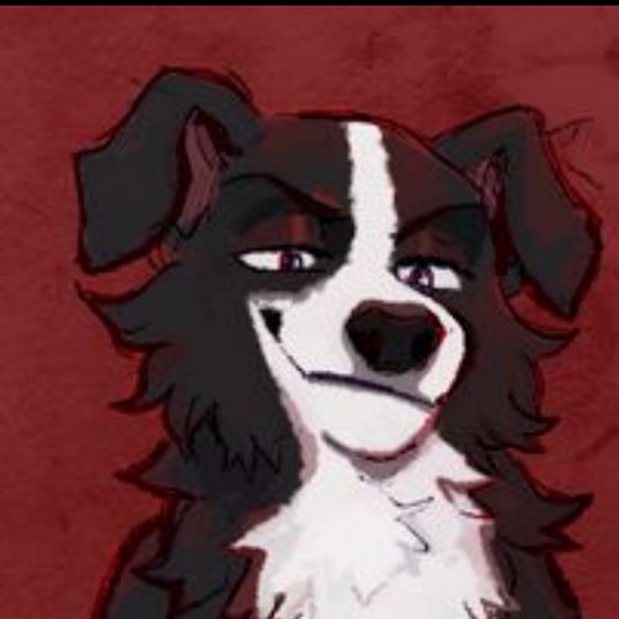 Mr. Pickles border collie - YouTube