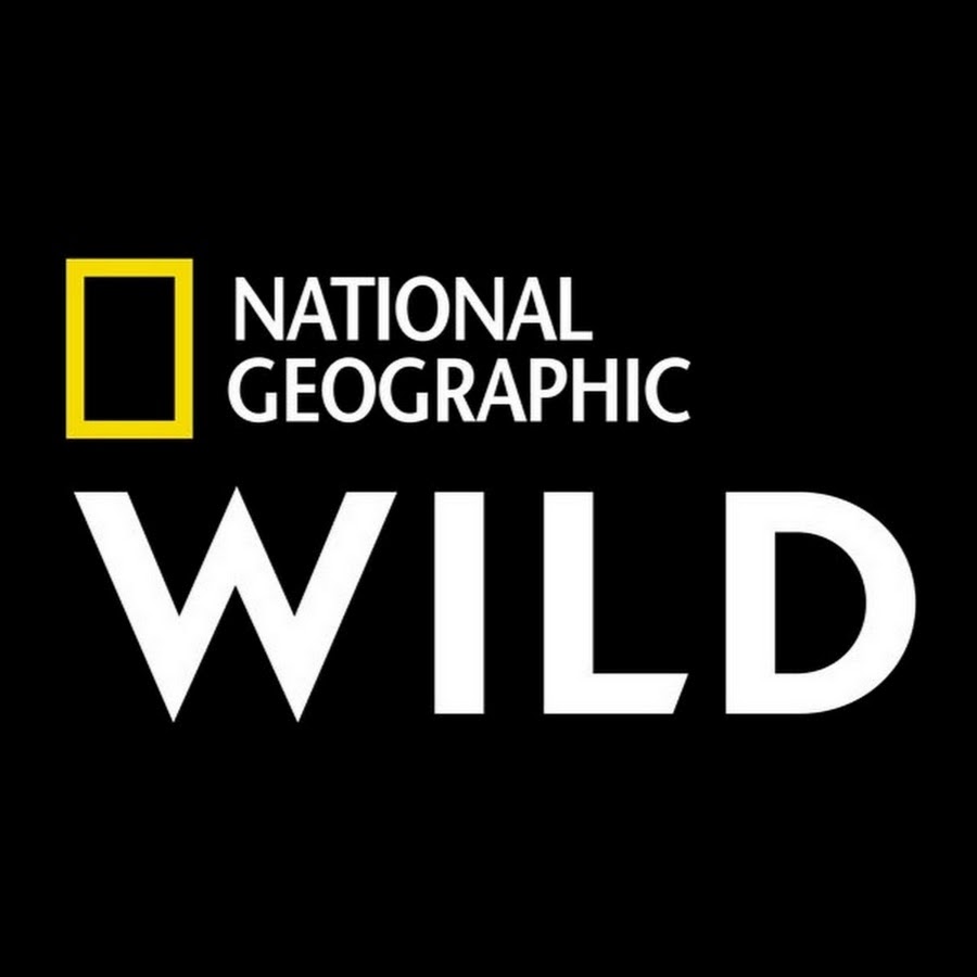 National Geographic Wild - YouTube