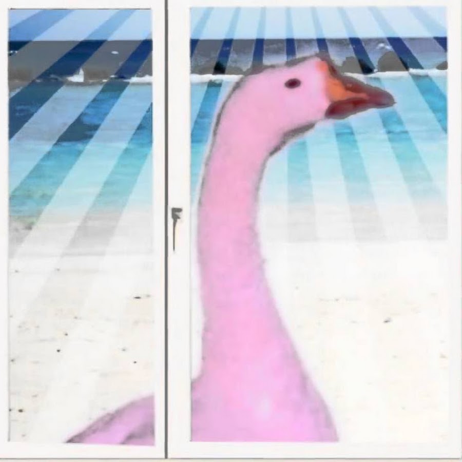 Розовый гусь. Слепой розовый гусь. Мем розовый гусь. Розовый гусь почему так темно. Розовый гусь.