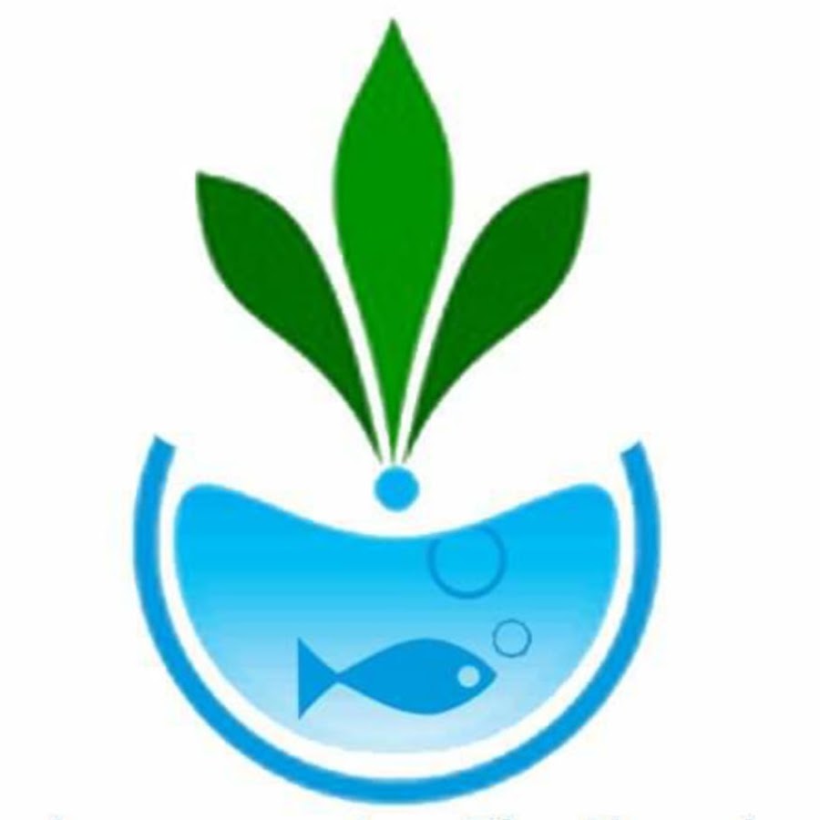 affnan's aquaponics: siphon overhaul