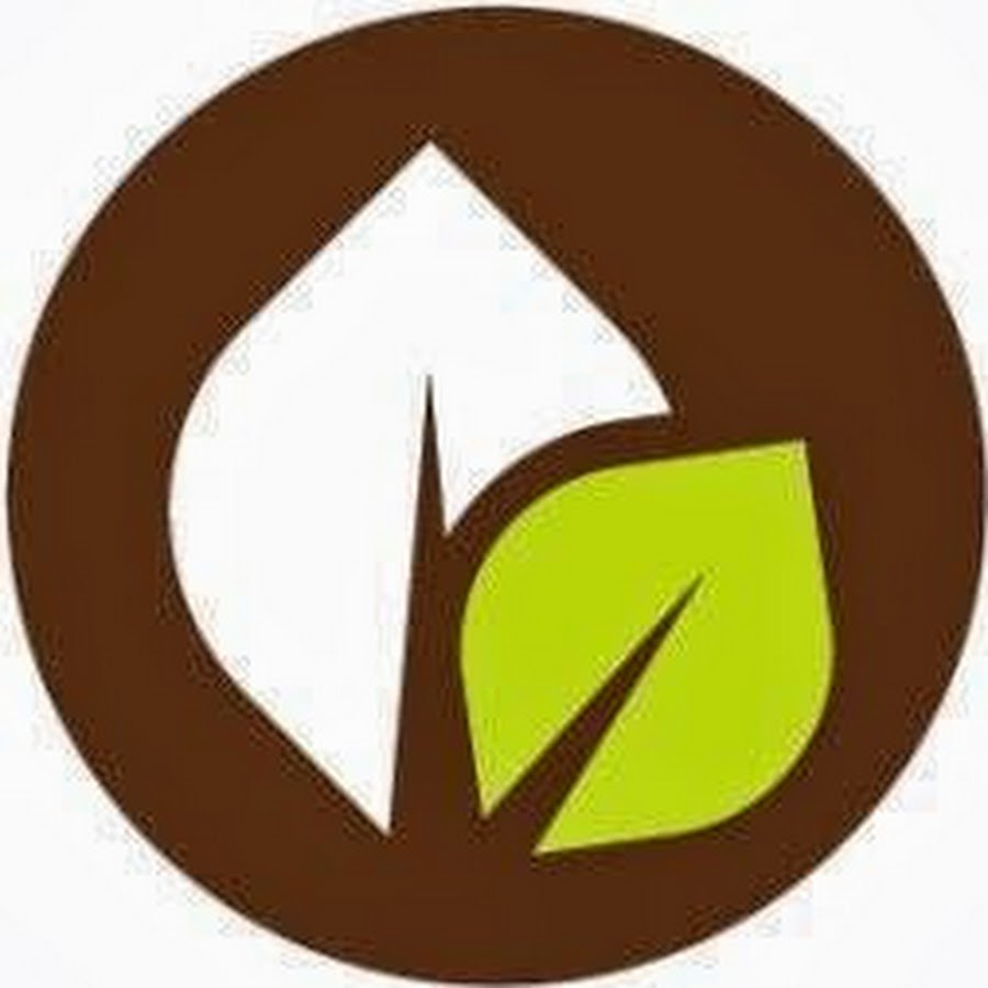 AEF Global - YouTube