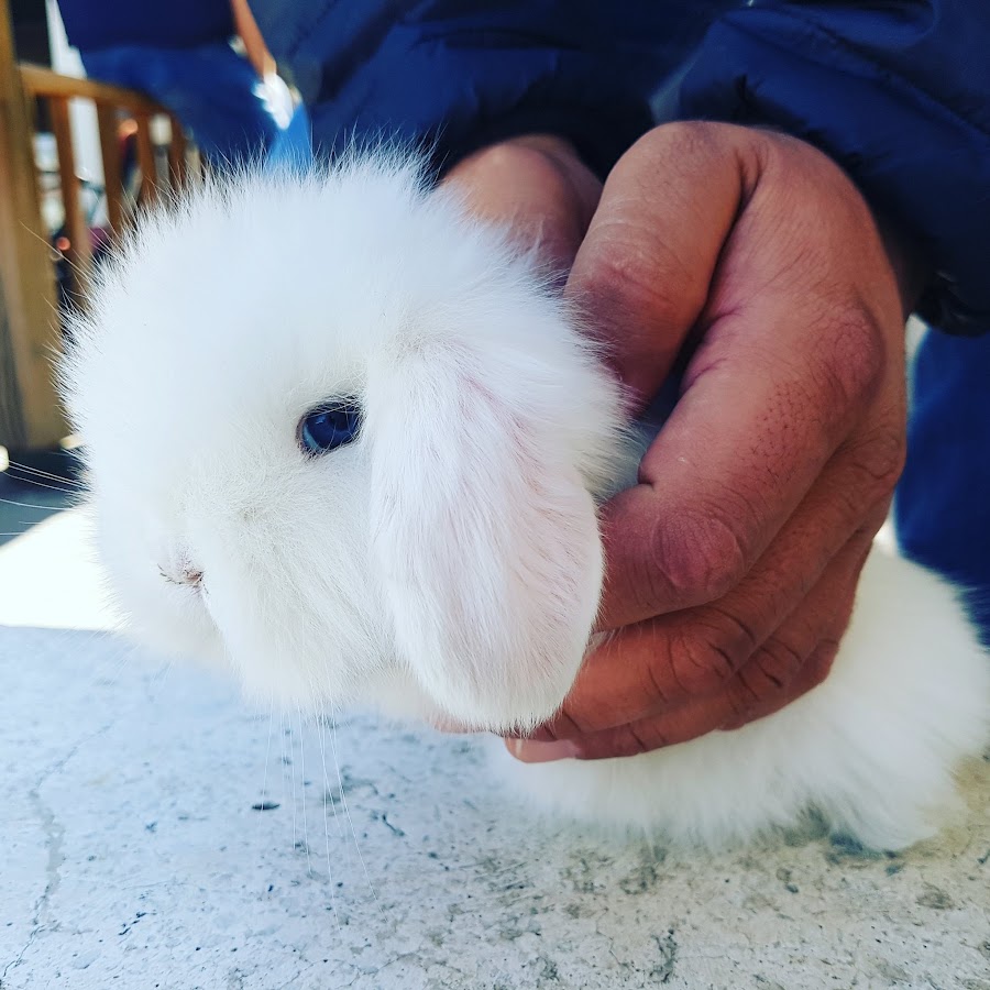 g0rky06 Eğitimci YouTube