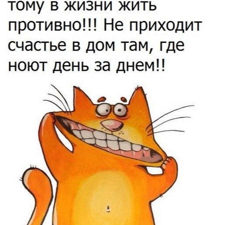 Весёлые открытки для поднятия настроения