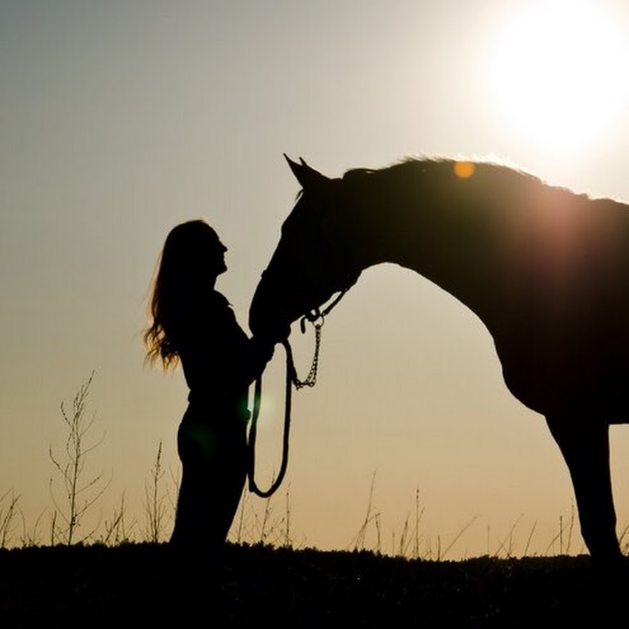 Natural Horse YouTube