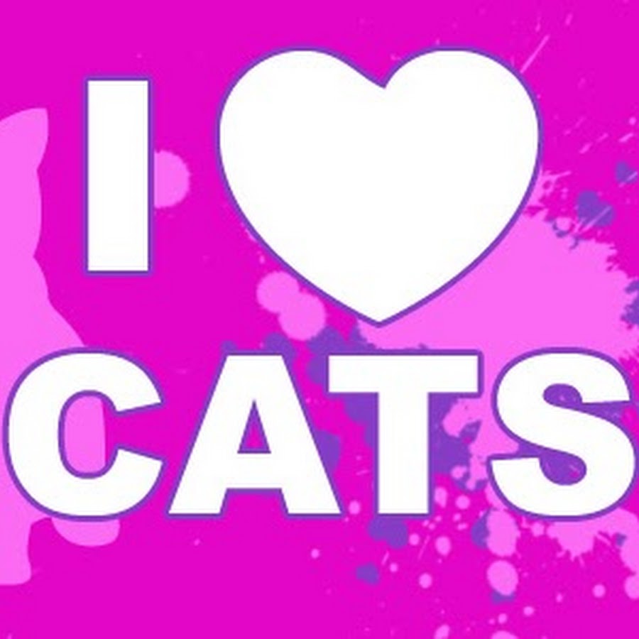 Kitty Kats Net Porn Telegraph