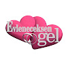 What could Evleneceksen Gel buy with $252.75 thousand?