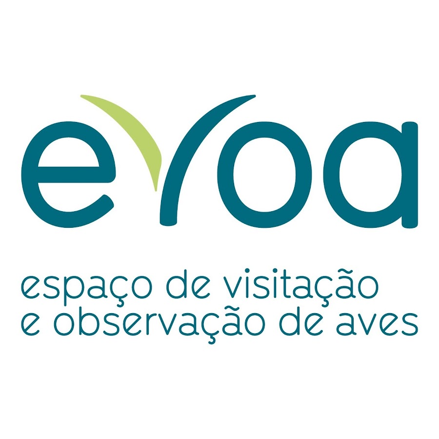 EVOA Observação de Aves - YouTube