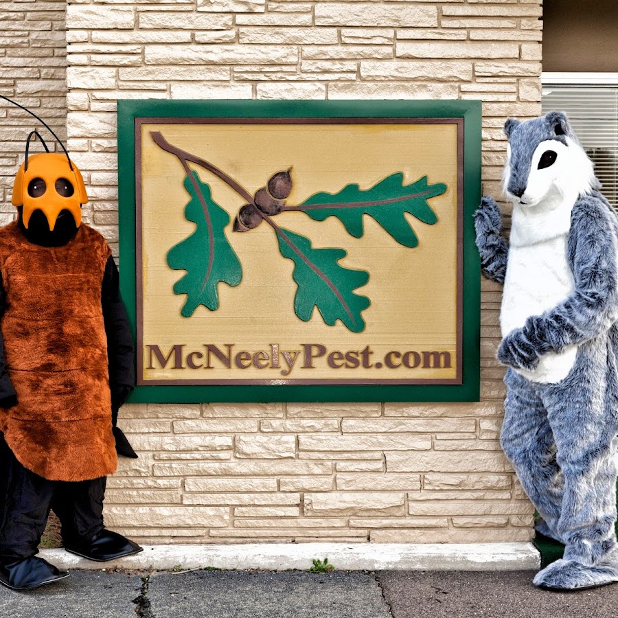 McNeely Pest Control YouTube