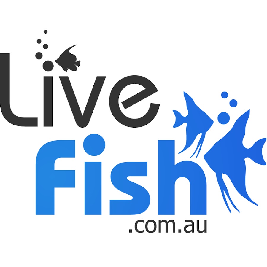 livefish.com.au - YouTube