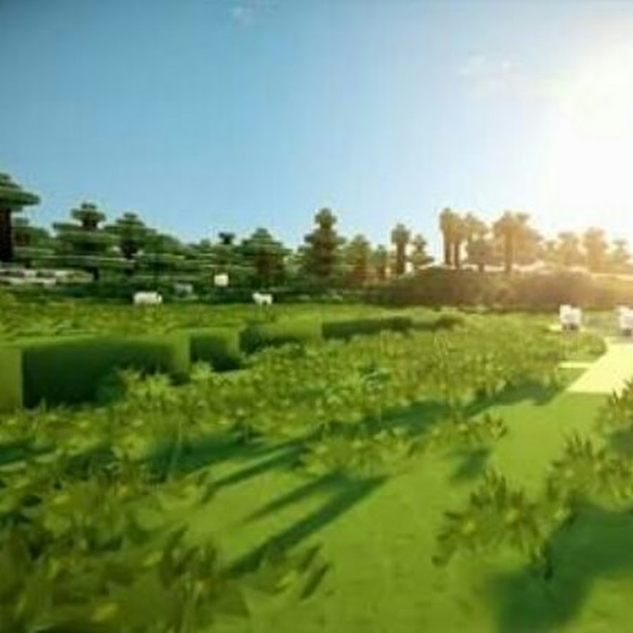 Mundo Animal - YouTube