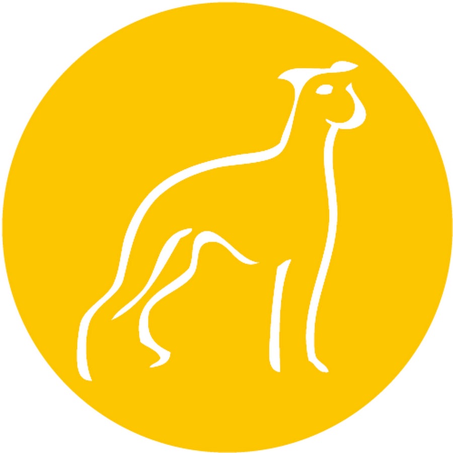 Hundeschule Freude am Hund München YouTube