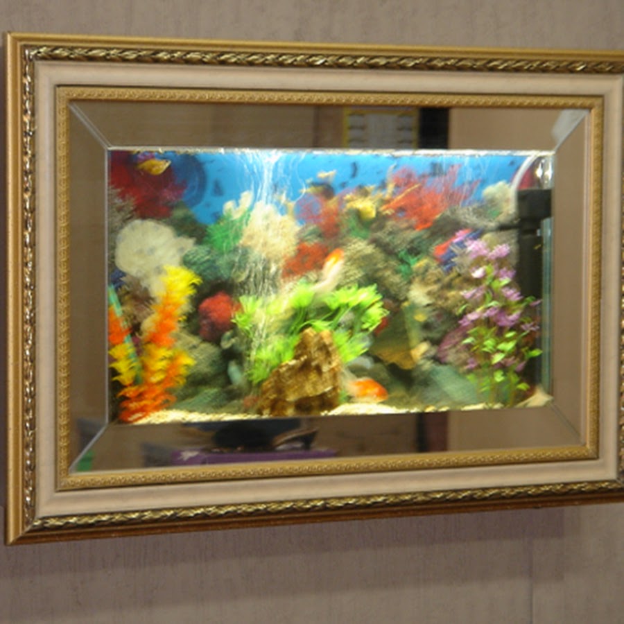 Wall Frame Aquarium YouTube