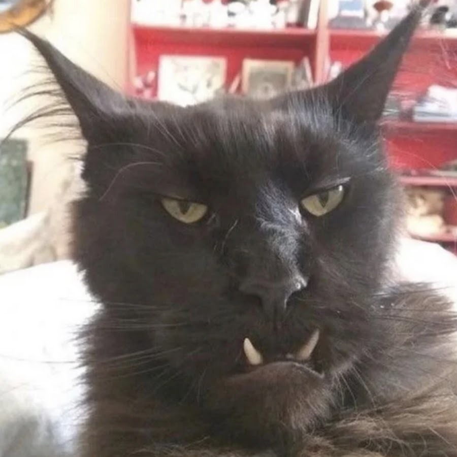 doorlock lockdoor - YouTube