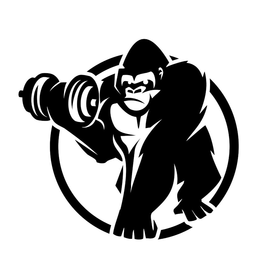Gorilla Sports Schweiz YouTube