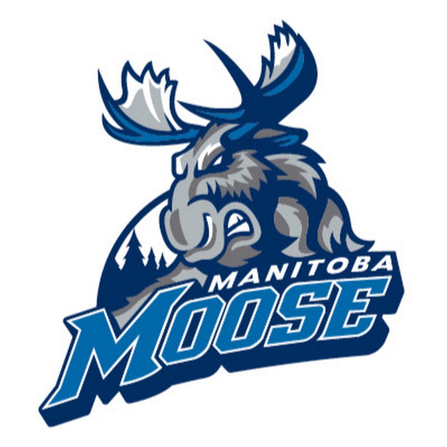 Manitoba Moose YouTube