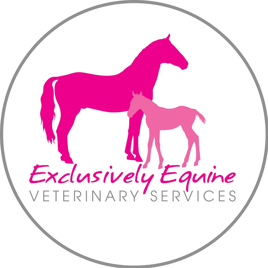 Exclusively Equine Veterinary Services YouTube