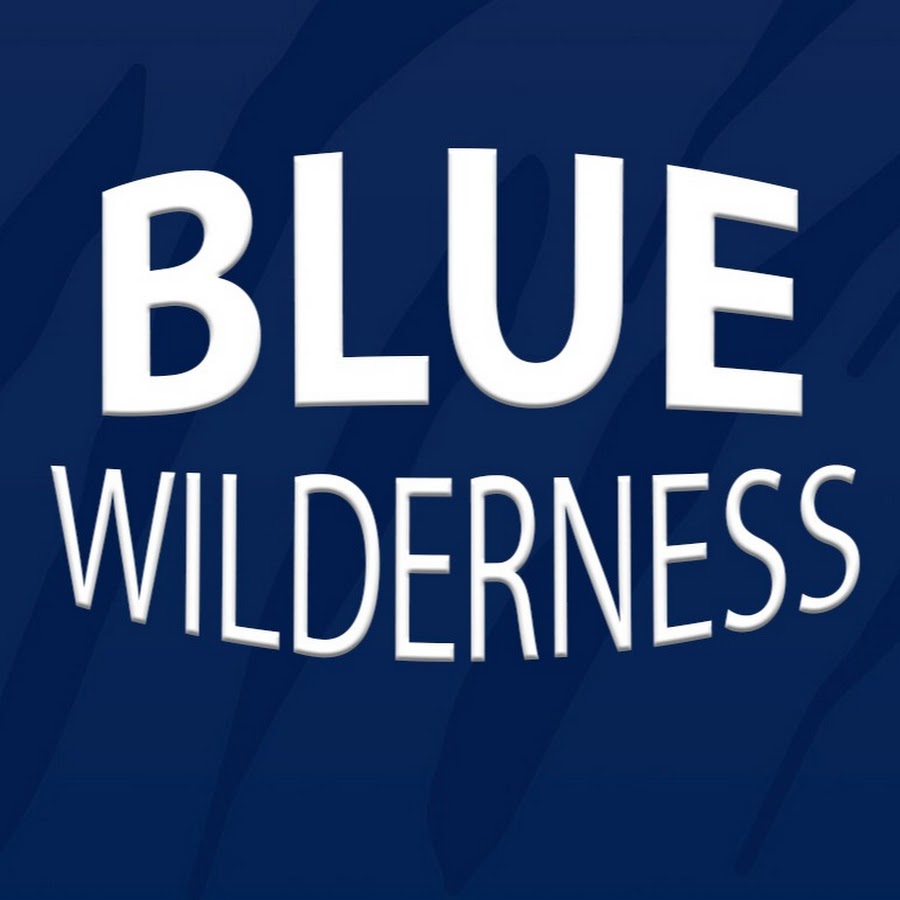 Blue Wilderness YouTube