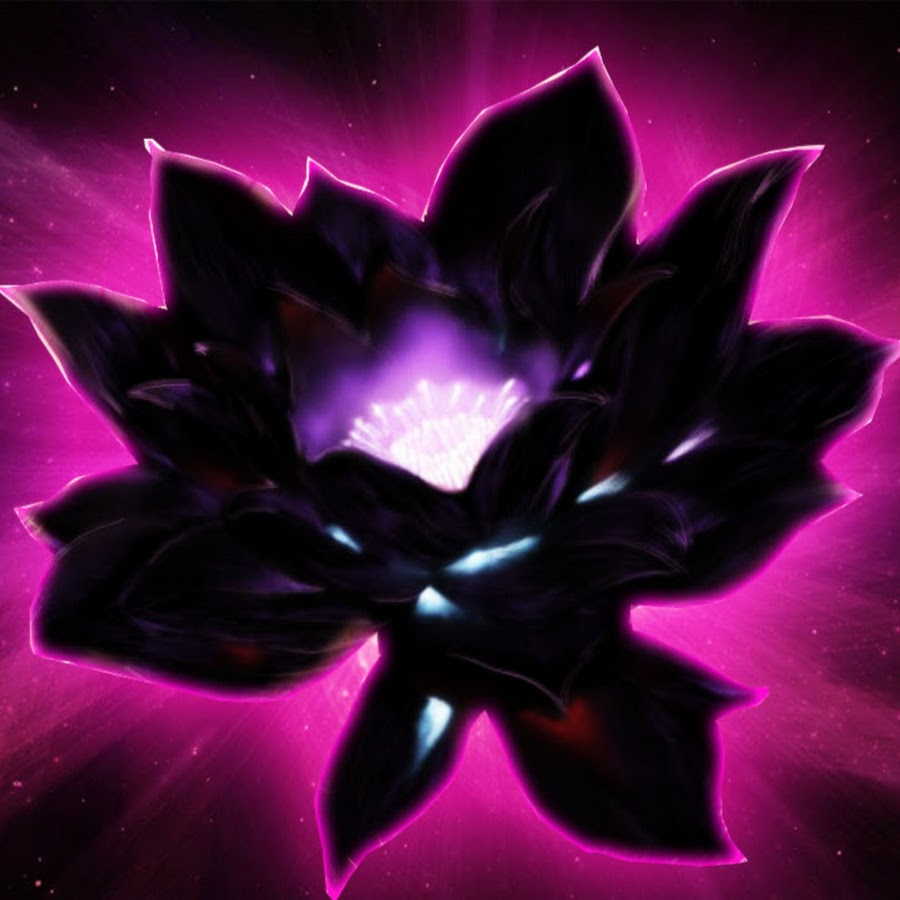 Blacker lotus ботания