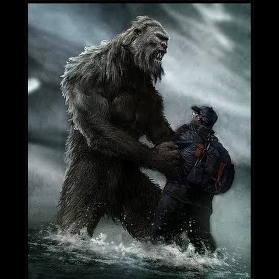 Sasquatch Chronicles 2019 - YouTube