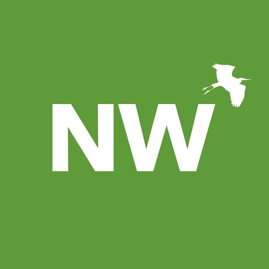 Nature Watch YouTube