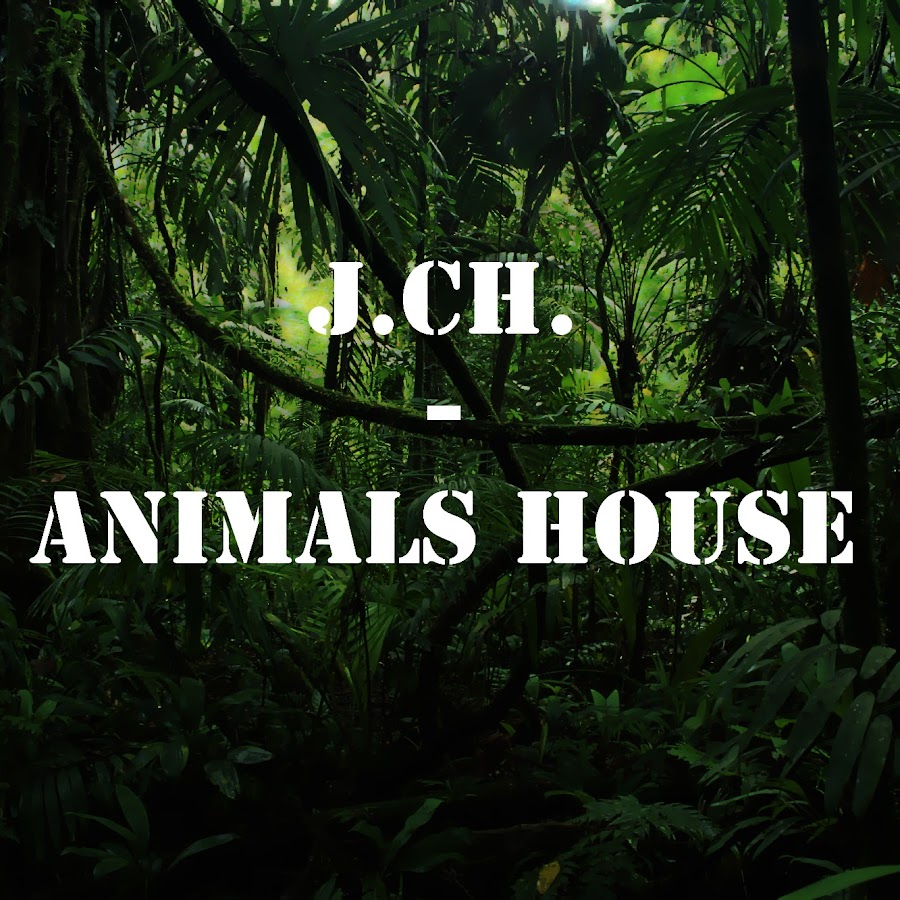 J.Ch. - Animals House - YouTube