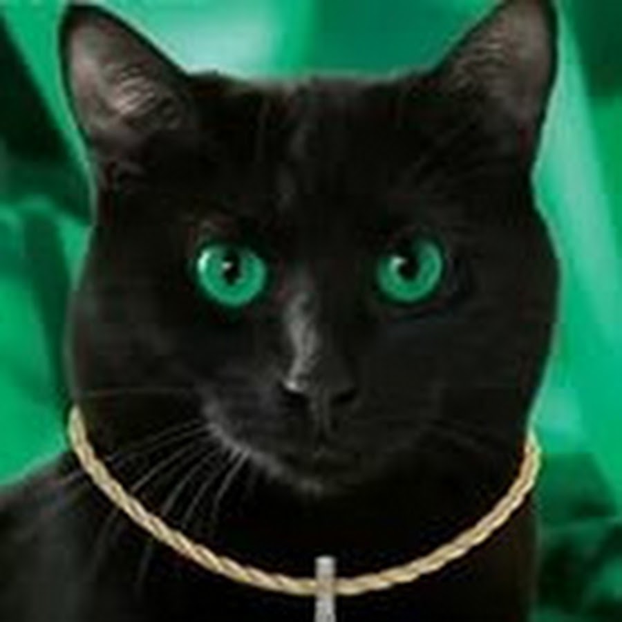 Бриколаж - YouTube