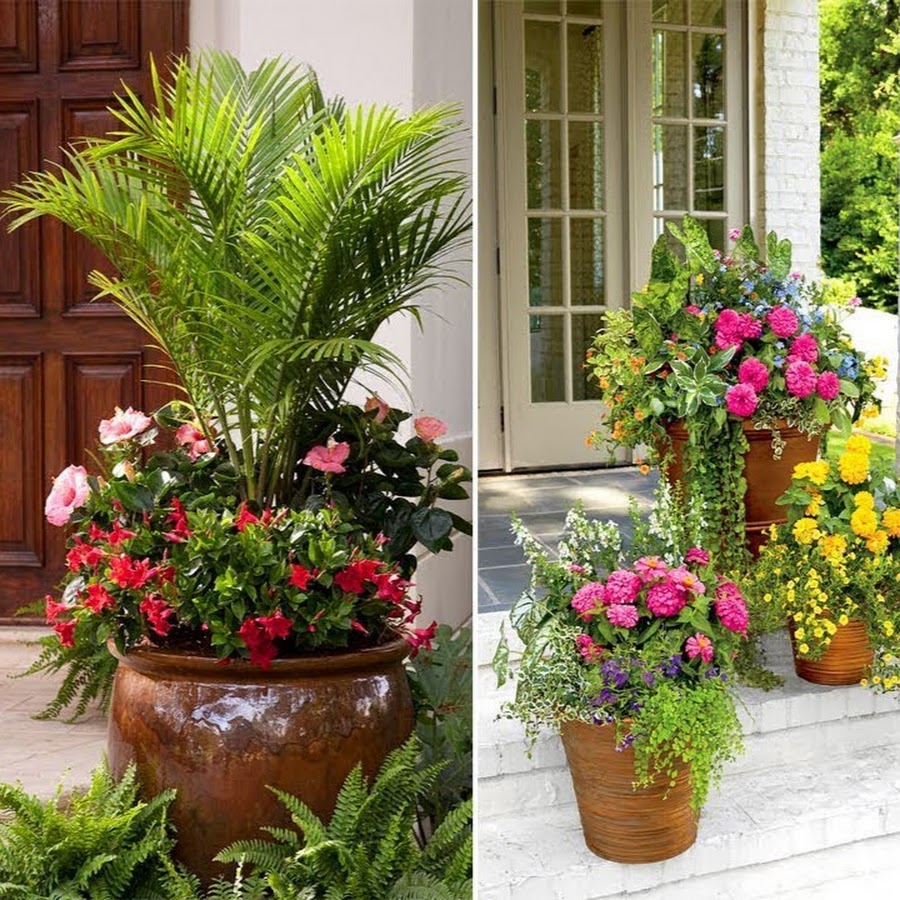 Gardening And Agriculture Ideas 