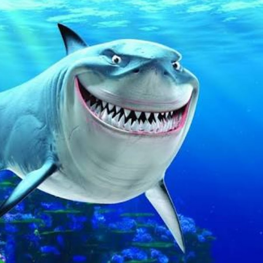 chacorta t - YouTube