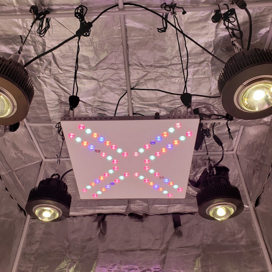 OPTIC LED GROW LIGHTS YouTube