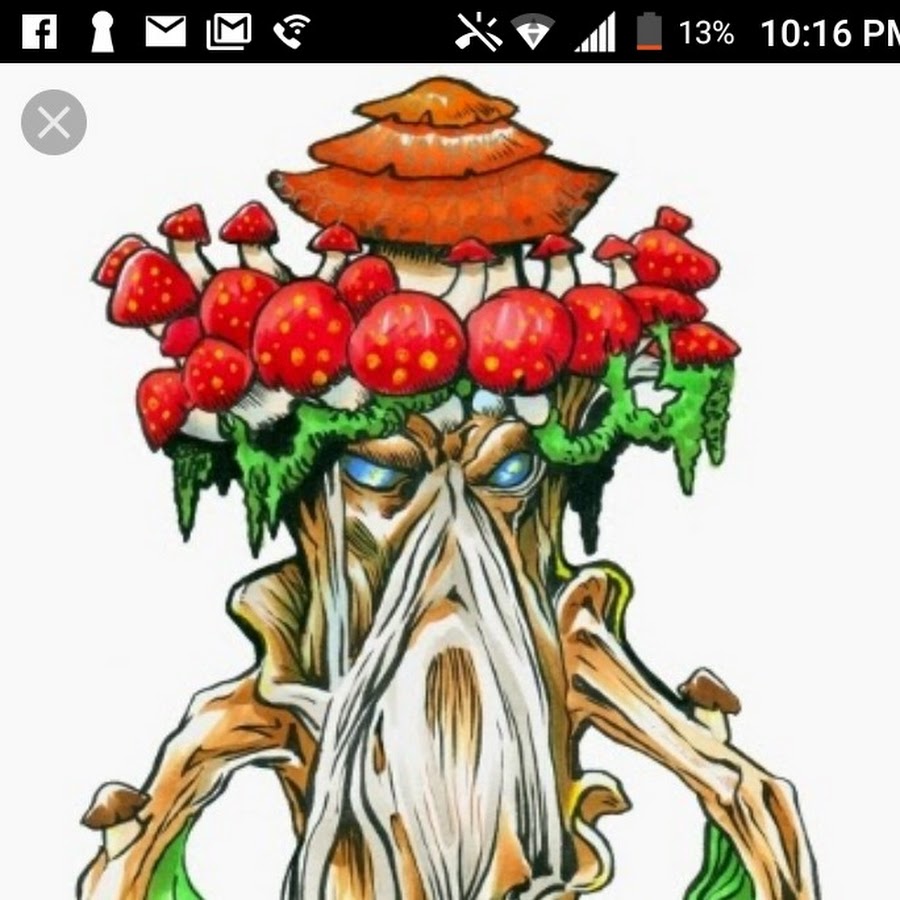 Mushroom King YouTube