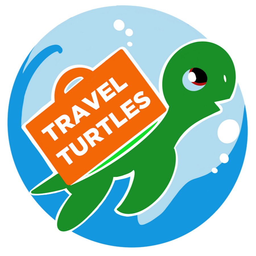 mr travel turtle