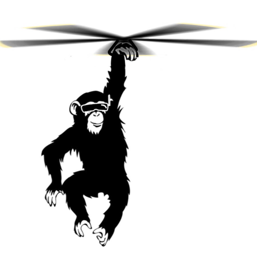 Monkey Swing YouTube