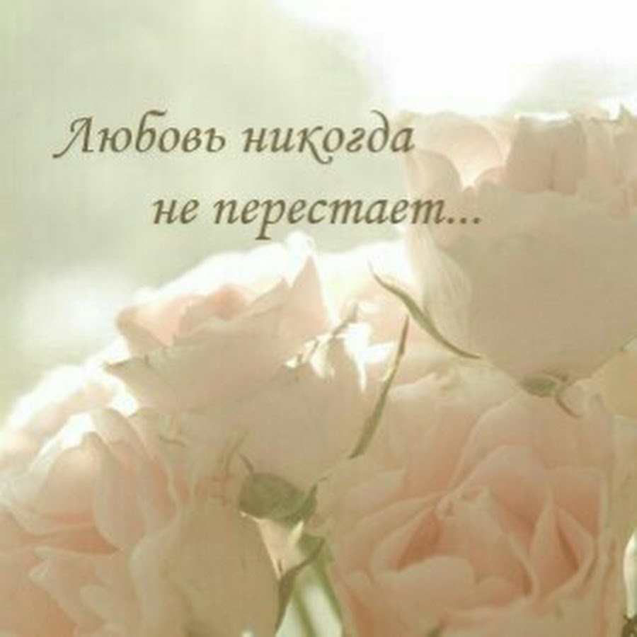 Транжира юмор. Затрахаться мем. Приколы цитаты жена транжира. The hatters будь нежной текст. Нежно мем.