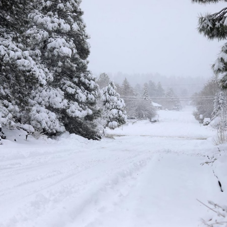 GREEN CARD - YouTube