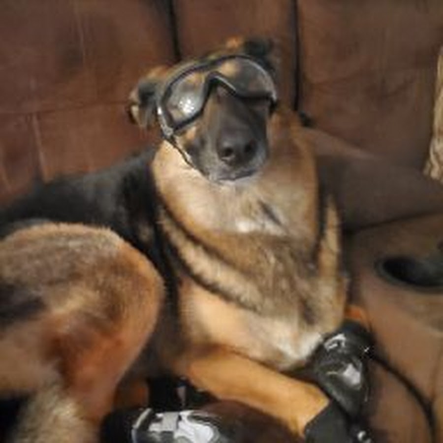 Eleven Hopper YouTube