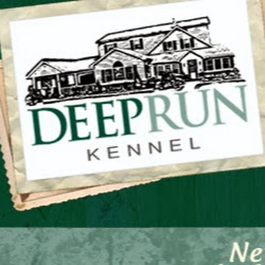 Deep Run Kennel YouTube