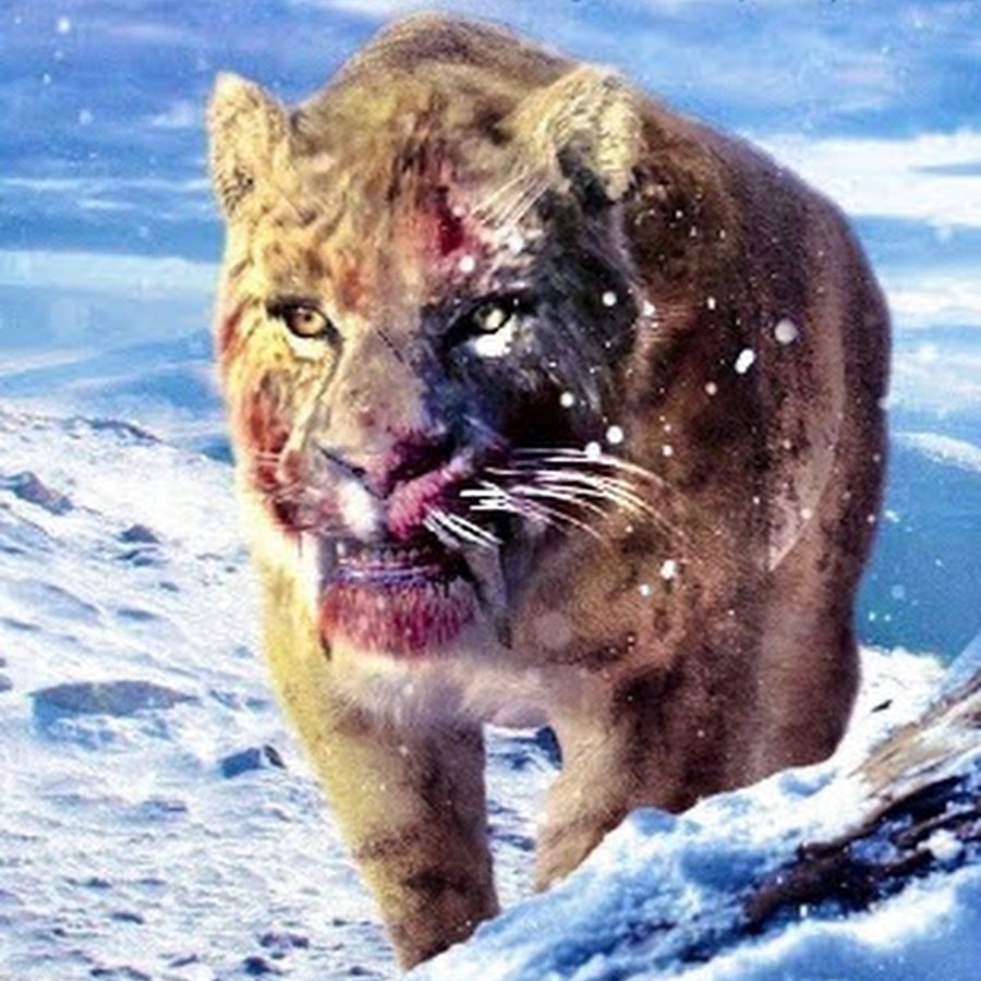 The Sabertooth King YouTube