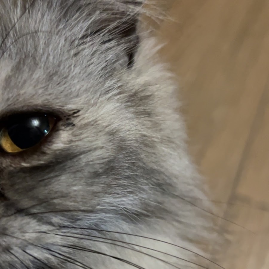 Winx Fairy - YouTube