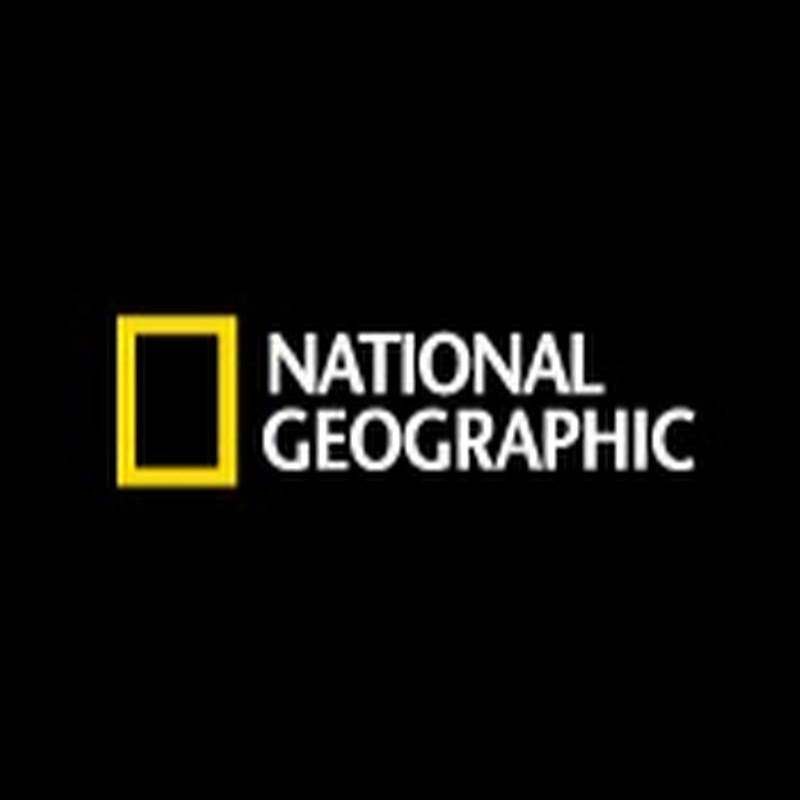 내셔널지오그래픽 - national geographic korea