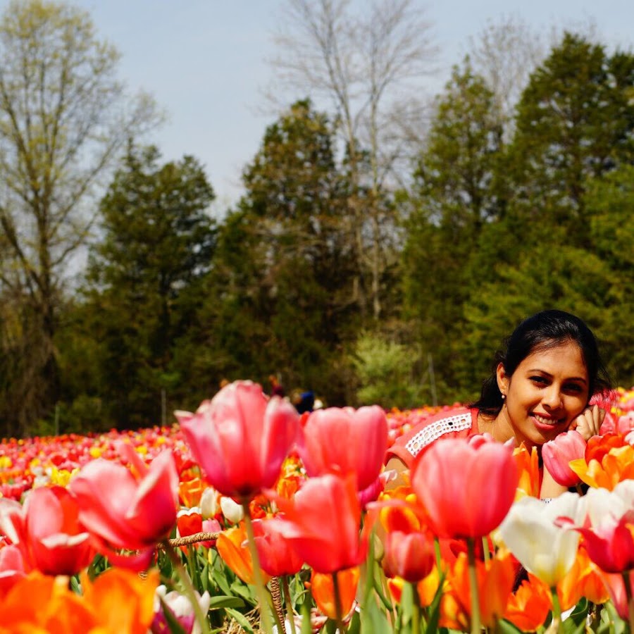 Dharshana’s Craftroom 