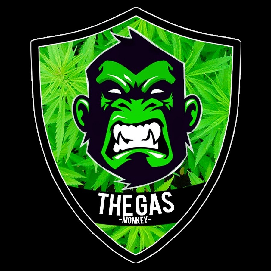 ThE GaS MoNkEy YouTube