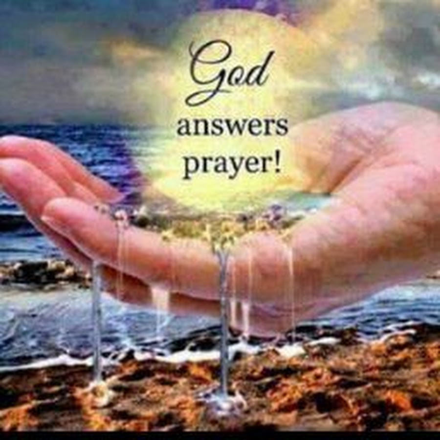 Honey Sugar - YouTube