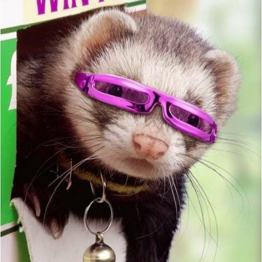 AATXAJxAZbcrXQJA1CUH5j5egZTpHWevcpU-OKllcpA9=s900-c-k-c0xffffffff-no-rj-mo