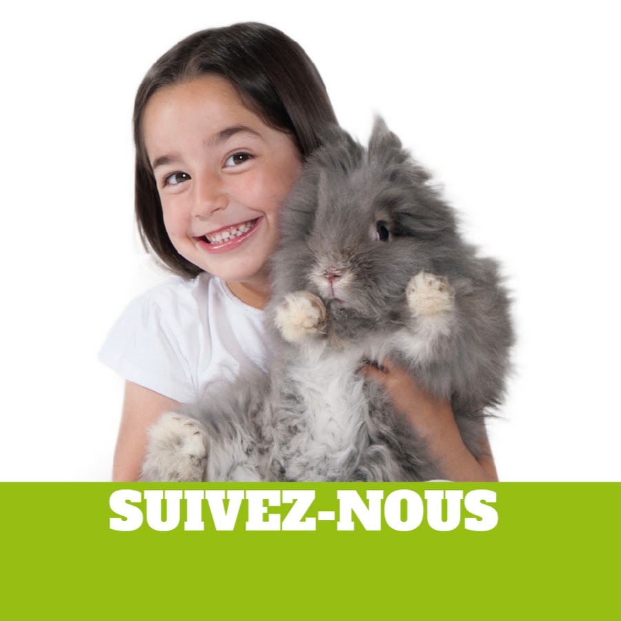 Tout sur tes animaux de compagnie YouTube