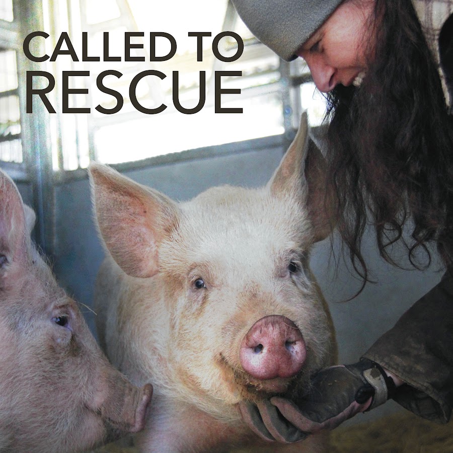 Called to Rescue Film YouTube
