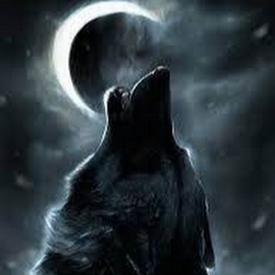 Moon Warrior YouTube